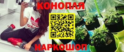 дживик Краснознаменск