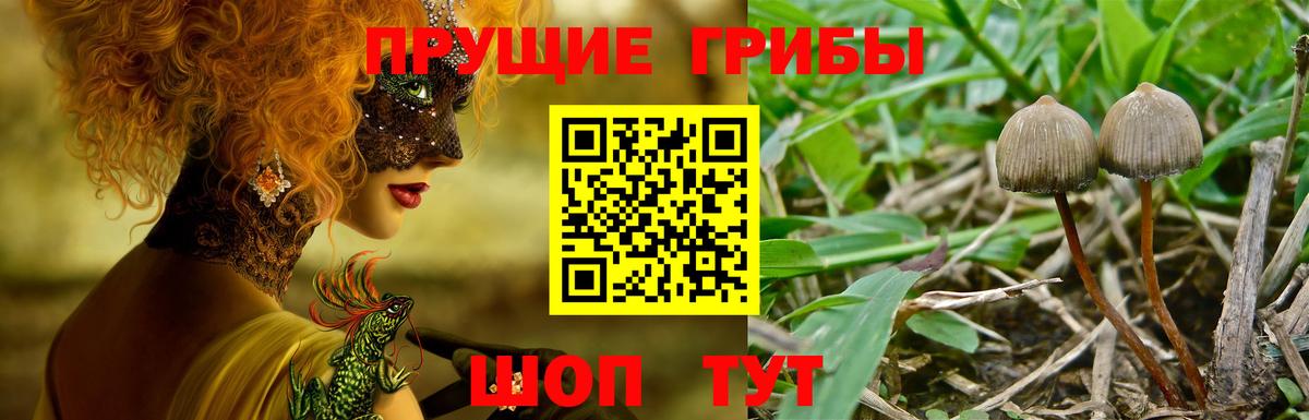 Галлюциногенные грибы ЛСД Кольчугино