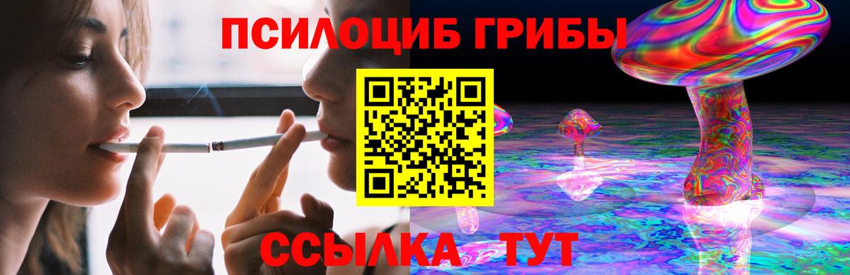 Галлюциногенные грибы MAGIC MUSHROOMS  Вход с VPN  Кольчугино 